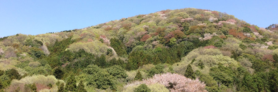 桜川市内の風景